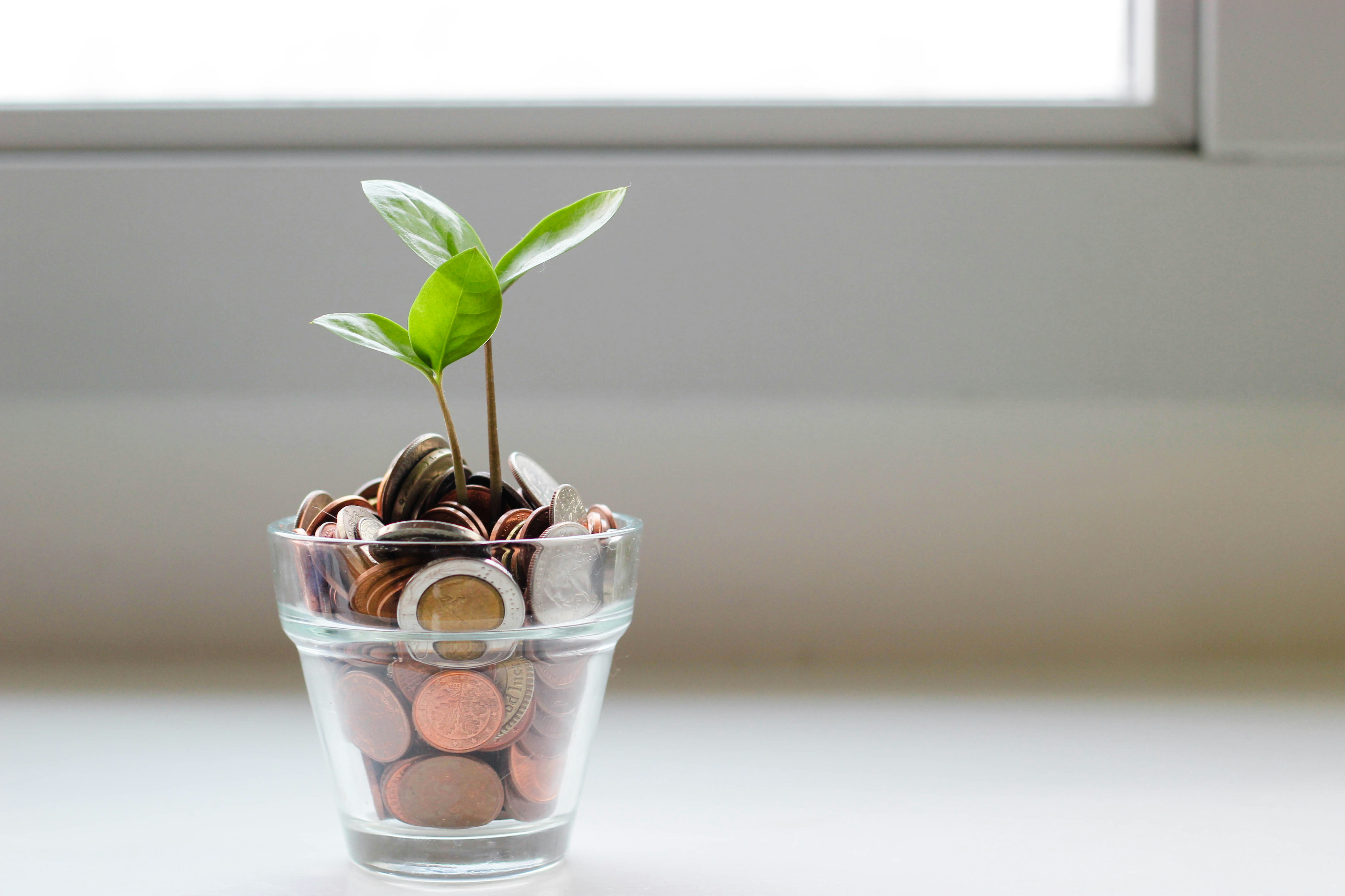 Wedding Budget Tips
