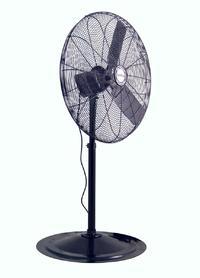 Pedestal Fan