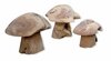 Wooden Mushrooms rental in New Orleans, LA