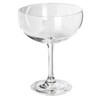 Margarita Grande 15.3 oz rental in New York, NY