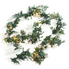 English Ivy rental in Chicago, IL