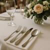Stainless Flatware rental in Chicago, IL