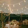 String Lights - 40' White rental in Chicago, IL