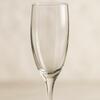 Champagne Flute rental in Chicago, IL