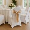 Chair Covers rental in Chicago, IL