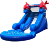 5.5' Dry or Water Slide - Little Kahuna rental in Chicago, IL