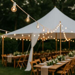 String Lights - 100' White rental Chicago, IL