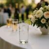 Highball Glass rental in Chicago, IL