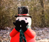 Frosty Snow Machine rental in San Francisco-Oakland-San Jose, CA