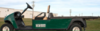 Flat Bed Golf Cart rental in Chicago, IL