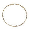 Gold Fleur Charger rental in Dallas-Ft. Worth, TX
