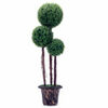 Three Ball Topiary rental in Dallas-Ft. Worth, TX