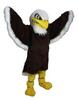 Eagle Mascot Costume  rental in Dallas-Ft. Worth, TX