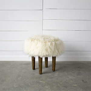Furry Stool rental Dallas-Ft. Worth, TX