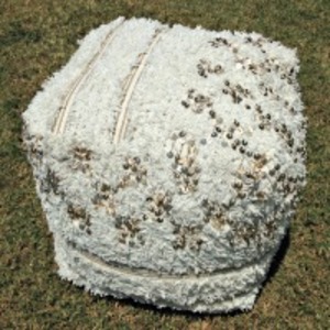Shag Pouf rental Dallas-Ft. Worth, TX