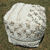 Shag Pouf rental in Dallas-Ft. Worth, TX