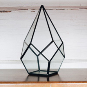 dark metal geometric terrariums rental Dallas-Ft. Worth, TX