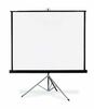 PROJECTION SCREEN rental in Houston, TX