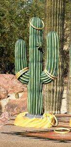 Cactus Toss rental San Francisco-Oakland-San Jose, CA