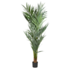 Artificial Palm Tree rental in San Francisco-Oakland-San Jose, CA