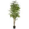 Artificial Ficus Tree rental in San Francisco-Oakland-San Jose, CA