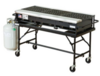 Propane Grill rental in Houston, TX