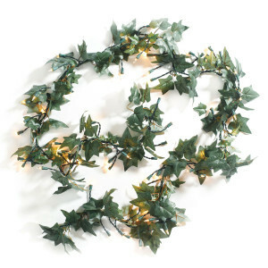English Ivy rental Phoenix, AZ