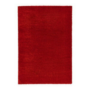 Red Rug rental Phoenix, AZ