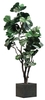 Fiddle Fig - Artificial rental in Philadelphia, PA