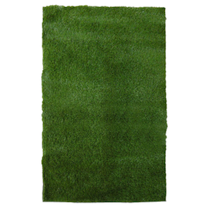 12x8 Grass Rug rental Phoenix, AZ