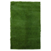 12x8 Grass Rug rental in Phoenix, AZ