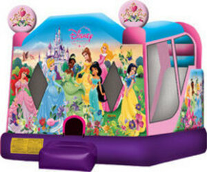 Disney Bouncy House rental Philadelphia, PA