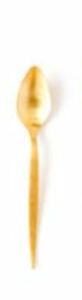 Gold Spoon rental Philadelphia, PA