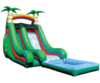 18' Tropical Water Slide with Pool rental in Baltimore, MD