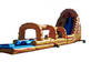 22' Water Slide rental in Phoenix, AZ