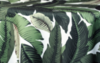 Banana Leaf Napkins rental in Atlanta, GA
