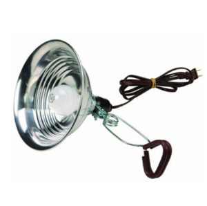 Clamp Light rental Phoenix, AZ