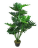 3-5 Ft. Plant rental in Atlanta, GA