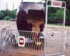 Twirling Barrel of Fun  rental in Austin, TX