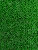 Astro Turf rental in Denver, CO