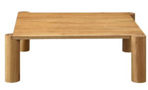 Sotol Coffee Table rental Baltimore, MD
