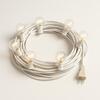 Globe String Lights  rental in Miami-Ft. Lauderdale, FL