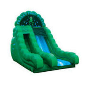 18' Dry Slide - Frog rental Miami-Ft. Lauderdale, FL