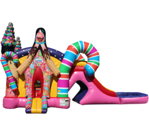 Combo Dry or Water Slide rental Austin, TX