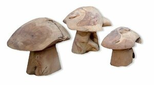 Wooden Mushrooms rental Miami-Ft. Lauderdale, FL