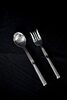 Serving Fork rental in San Diego, CA