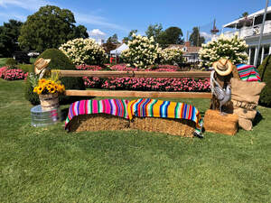 Country Western Scene rental Chicago, IL
