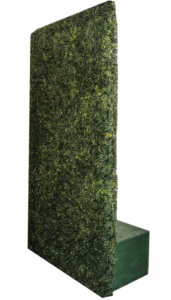 Tall Boxwood Hedge rental Westchester, NY