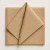 Poly Napkin rental in Denver, CO