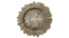 Reef Champagne Glass Charger rental in Houston, TX